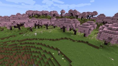 How To Get Cherry Blossom Seed In Minecraft 1.20 Landscape