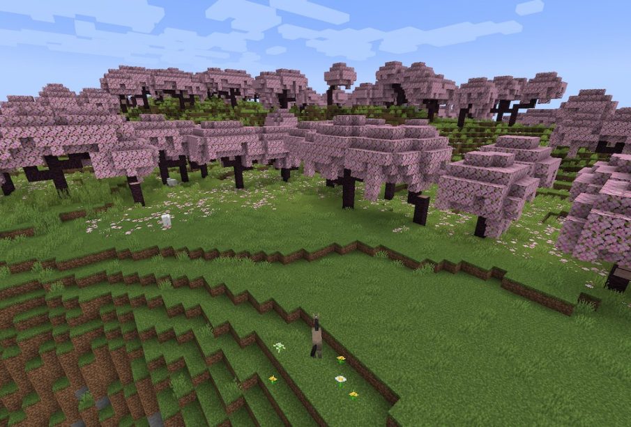 How To Get Cherry Blossom Seed In Minecraft 1.20 Landscape