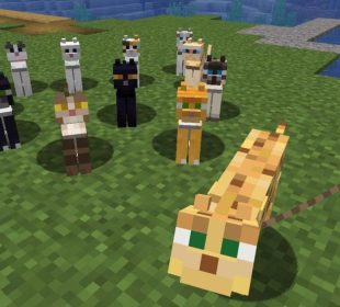 minecraft all cats and the ocelot