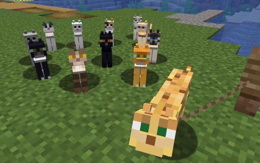 minecraft all cats and the ocelot