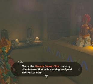 Secret Gerudo Town Clothes Shop